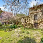 Au Bonheur Des * Verdun-Sur-Garonne